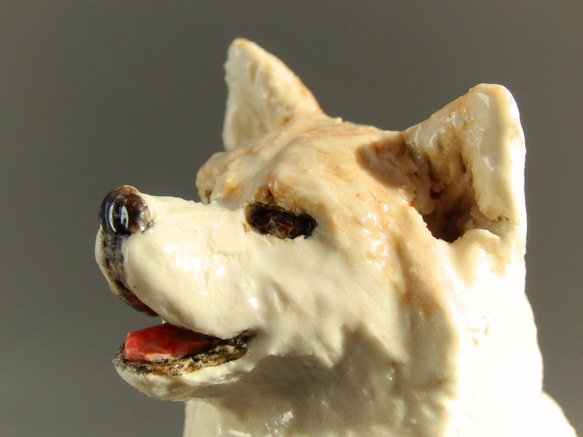 陶塑　うちの子オーダーメードのご案内：　秋田犬（ご参考） 2枚目の画像
