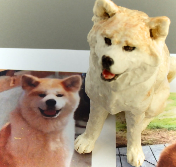 陶塑　うちの子オーダーメードのご案内：　秋田犬（ご参考） 3枚目の画像