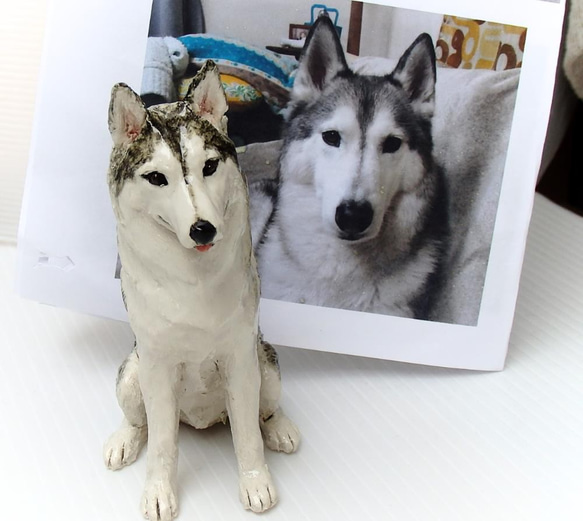 陶塑 うちの子オーダーメードのご案内： シベリアンハスキー スオーミ