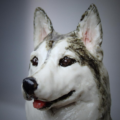 陶塑 うちの子オーダーメードのご案内： シベリアンハスキー スオーミ