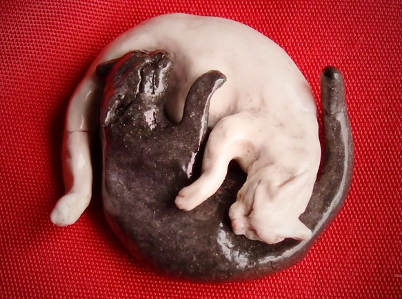 yin yang sleeping cats 1枚目の画像