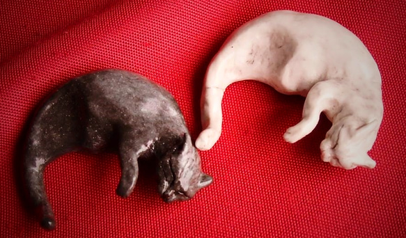 yin yang sleeping cats 2枚目の画像