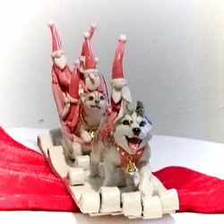 クリスマス限定、ハスキーwith妖精トントゥ!! 5枚目の画像