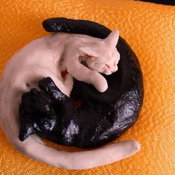 yin yang sleeping catsⅢ 1枚目の画像