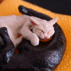 yin yang sleeping catsⅢ 2枚目の画像