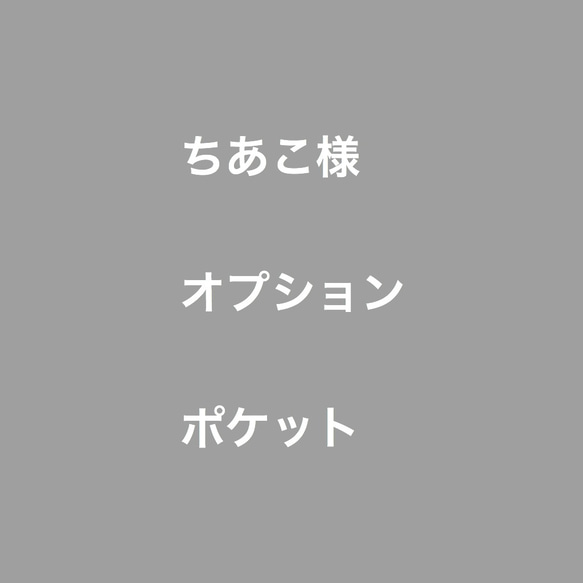 ちあこ様 オプション ポケット 1枚目の画像