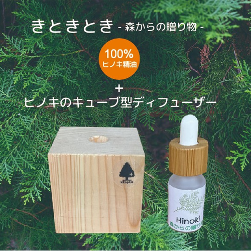 木のお家2点セット 小さな置物/インテリア雑貨/ハンドメイド雑貨 木のお家2点セット 小さな置物/インテリア雑貨/ハンドメイド雑貨