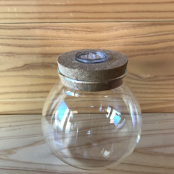sugi+tanikuぐりーん LED Terrarium Glass 3枚目の画像