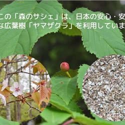 森のサシェ　ヤマザクラ　-広葉樹の香り- 2枚目の画像