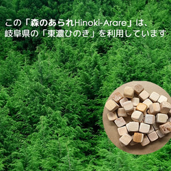 森林冰雹馴鹿-森林香包- 第2張的照片