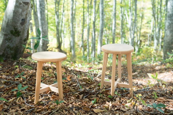 日本の木のこしかけStump(L) ブナ材・ヤマザクラ材（New) 椅子
