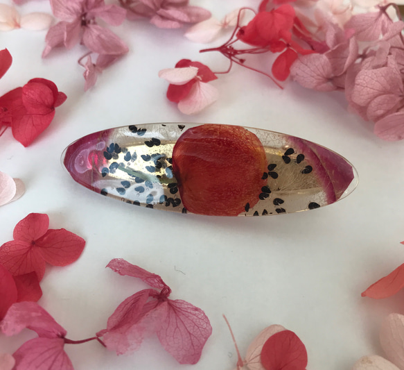 ドラゴンフルーツとさくらんぼ 押しフルーツヘアクリップ ヘアクリップ  