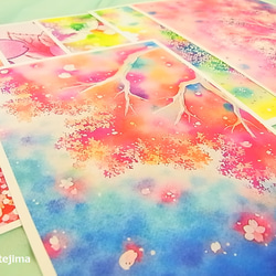 桜色のポストカードセット 1枚目の画像
