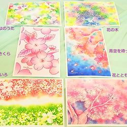 桜色のポストカードセット 4枚目の画像