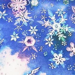 【★】冬の宝石たち　 4枚目の画像