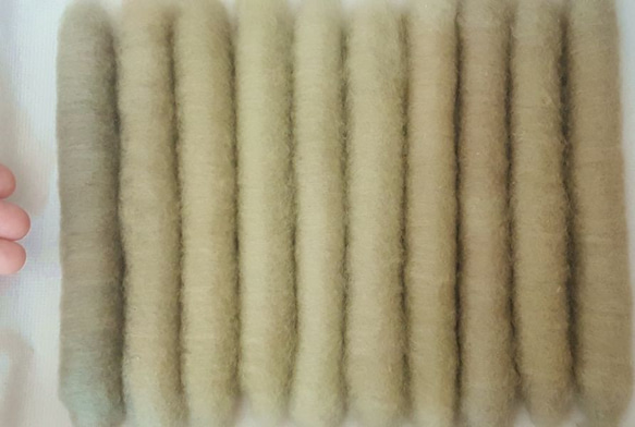 緑綿の手紡ぎ用篠綿10本 バラエティセット　 3枚目の画像
