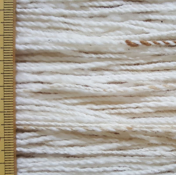 手紡ぎ綿糸　白・茶と白の双糸のセット　自家自然栽培・無染色 3枚目の画像