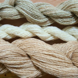 手紡ぎ綿糸　白・茶・緑などの双糸のセット　自家自然栽培・無染色 1枚目の画像