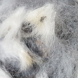 白(タナ綿) 約10g　無染色・自家自然栽培の綿（種採り済） 4枚目の画像