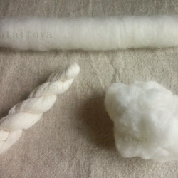 【受注製作】白／篠綿（しの・手紡ぎ用綿）約1.5ｇ自家自然栽培綿の手作り篠 1枚目の画像