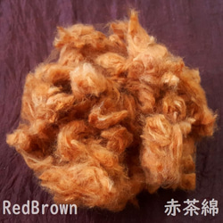赤茶綿 約10g　無染色・無農薬栽培の綿繊維（種採り済） 1枚目の画像