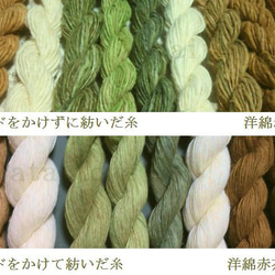 赤茶綿 約10g　無染色・無農薬栽培の綿繊維（種採り済） 2枚目の画像