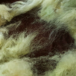 緑綿 約10g　無染色・自家自然栽培の綿（種採り済） 3枚目の画像