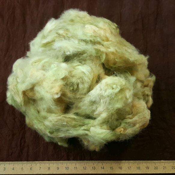緑綿 約10g　無染色・自家自然栽培の綿（種採り済） 4枚目の画像