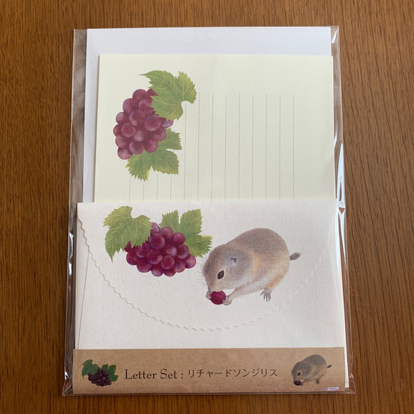 Letter Set リチャードソンジリス 5枚目の画像