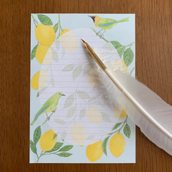 Letter Set レモンと青羽木葉鳥 2枚目の画像