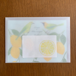 Letter Set レモンと青羽木葉鳥 3枚目の画像