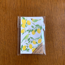 Message Card レモンと青羽木葉鳥 3枚目の画像