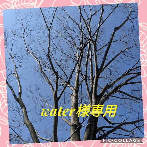 Water様専用 1枚目の画像