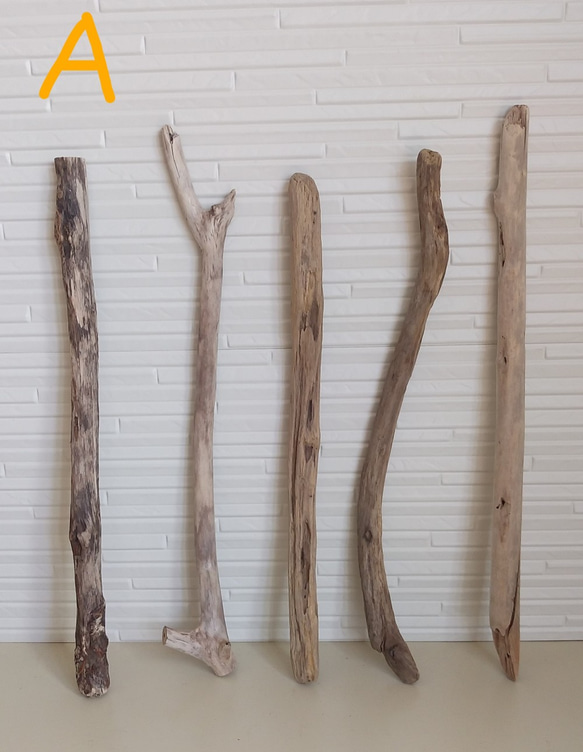 流木セット（55～65cm) その他素材 fallentrees 通販
