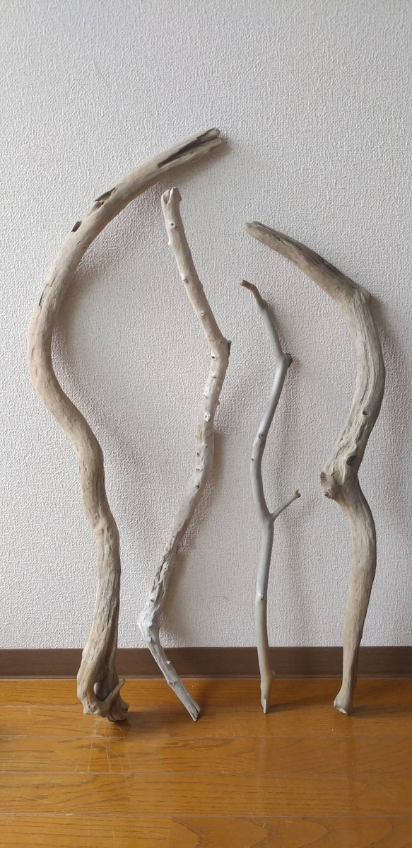 大きい流木など4本