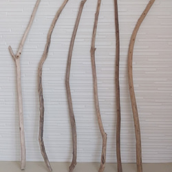 流木セット プラン木製シェルフ W800×H1141 ナチュラル×ナチュラル 扉付き RFPS