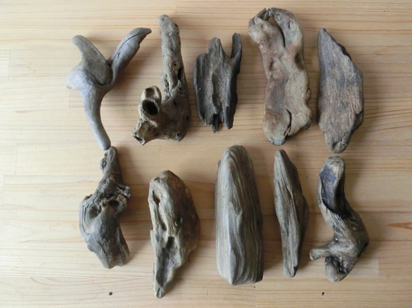 流木 アク抜 15cm 流木 アク抜 15cm 【公式通販】