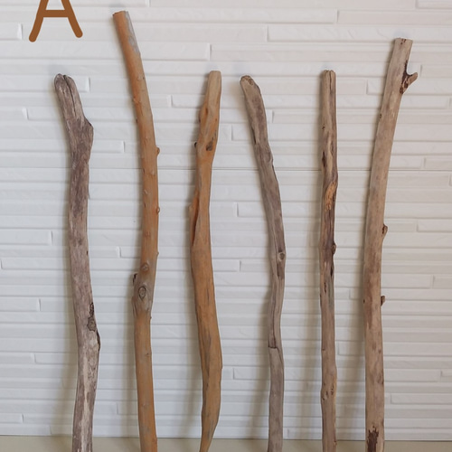 流木セット（45～55cm） その他素材 fallentrees 通販