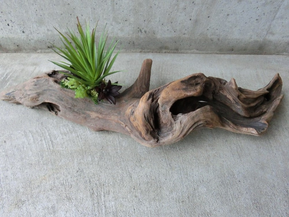 フェイクグリーン付き流木 その他インテリア雑貨 fallentrees 通販