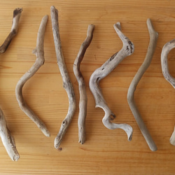 ブライワックス仕上げの流木セット（15～25cm） 木材・板