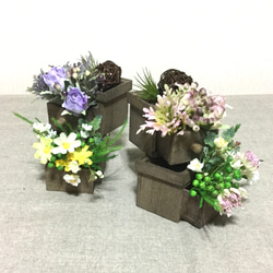 小さな木箱の中のお花 1枚目の画像