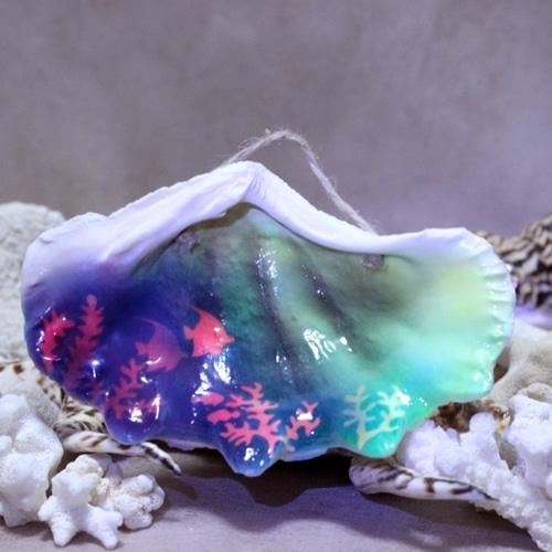 ヒメシャコ貝　大中小両面　インテリア　　　　　　　飾り物　アクセサリー　オブジェ ヒメシャコ貝 大中小両面 インテリア 飾り物 アクセサリー オブジェ