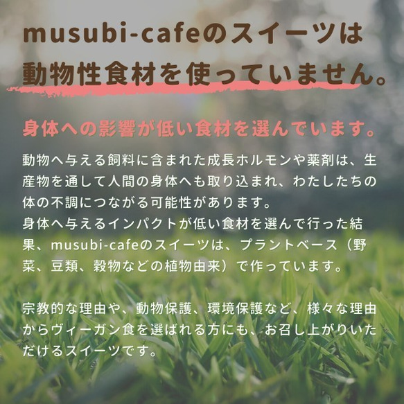 季節限定＊かぼちゃのタルト【卵・乳・白砂糖不使用】【グルテンフリー】 7枚目の画像