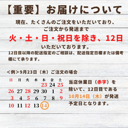 季節限定＊京丹後産　梨のタルト【卵・乳・小麦粉不使用】【グルテンフリー】 2枚目の画像