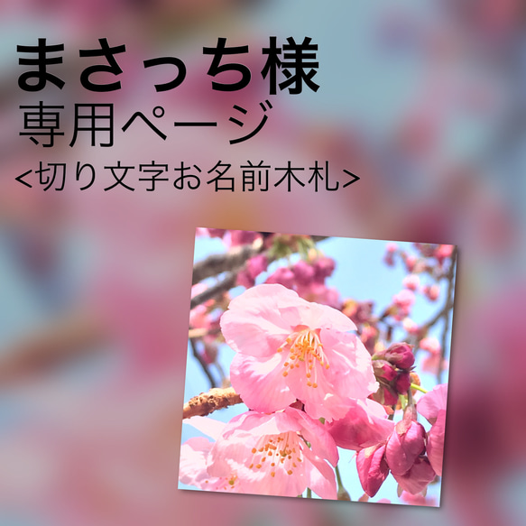 まさっち様オーダー専用ページ 切り文字ちっちゃなお名前木札 1枚目の画像