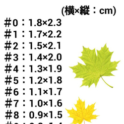 らびゅ❤ 4枚目の画像