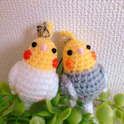 ☆まめひこ☆オカメインコあみぐるみバッグチャーム5点セット 受注制作】オカメインコのあみぐるみ あみぐるみ ainote 通販 15367101