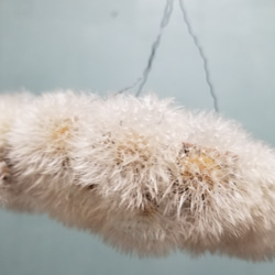 タンポポの綿毛のハンギングリース 4枚目の画像