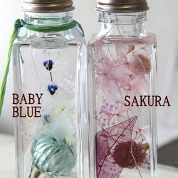 ハーバリウム　SAKURA　&　BABYBLUE 1枚目の画像