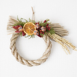 0_49090ba5e46c91851e13da073430